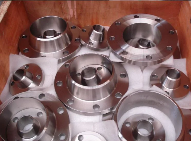 Forged Stainless Steel RF FF So/Thread/Welding Neck/Blind/Lap Joint Flange According to ANSI DIN En1092-1 GOST