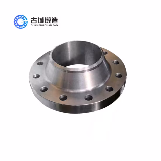 304 316L ステンレス鋼の溶接ネック付き Wn フランジ